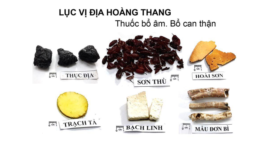 Lục vị địa hoàng hoàn 