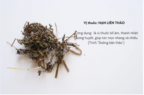 Hạn Liên Thảo